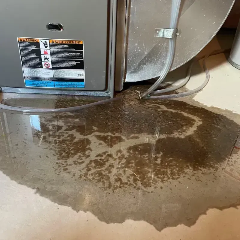 Appliance Leak Cleanup in Russell County, VA